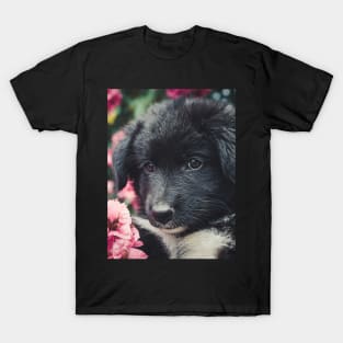 Cute puppy T-Shirt